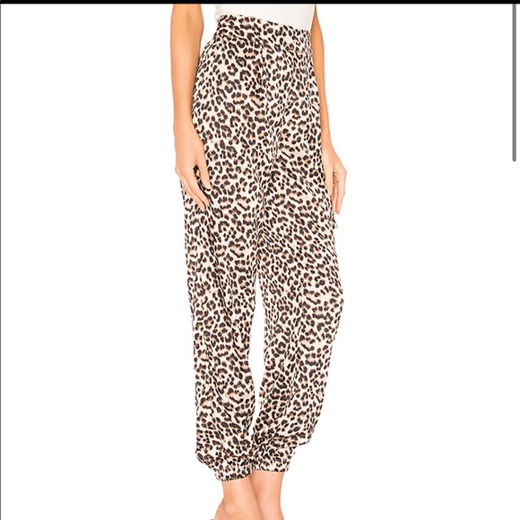 Elysa Cheetah pant - Picture 1 of 4